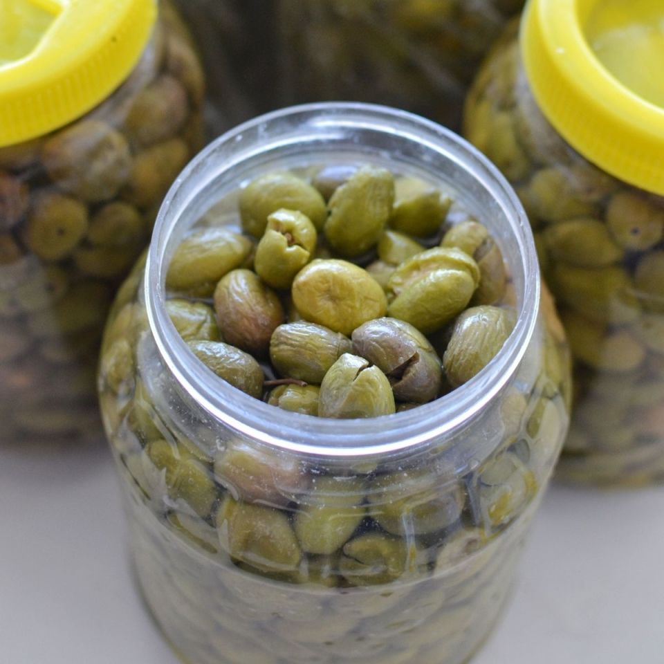 Hatay Taş Kırma Zeytin