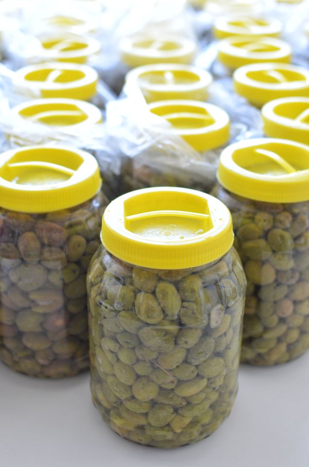 Hatay Taş Kırma Zeytin
